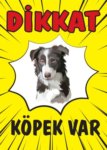 DİKKAT KÖPEK VAR